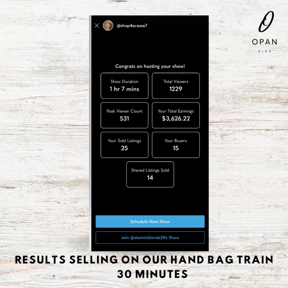 The Opan Bins Luxury Handbag Train | Thursday DECEMBER 18th - Picture 2 of 4